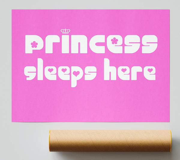 Princess Sleeps 2 Vivid Pink Print