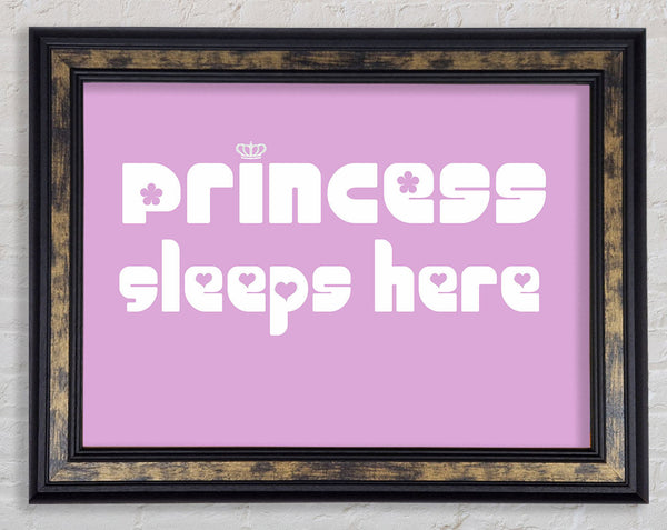 Nursery Quote Princess sleeps 2 Pink Framed Print
