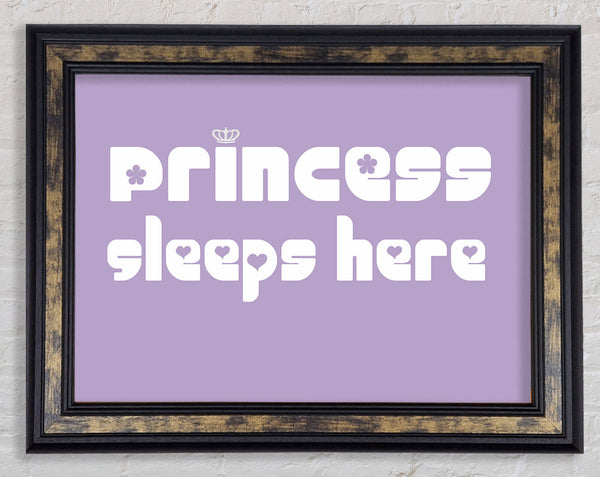 Princess sleeps 2 Lilac Framed Print
