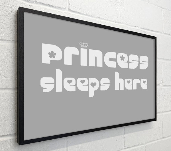 Princess sleeps 2 Grey White