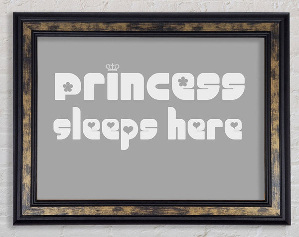 Princess sleeps 2 Grey White Framed Print