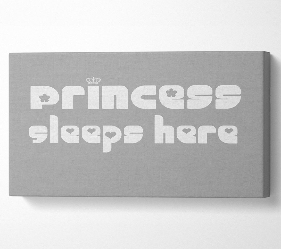  A Canvas Print of Princess sleeps 2 Grey White Canvas Wall Art
