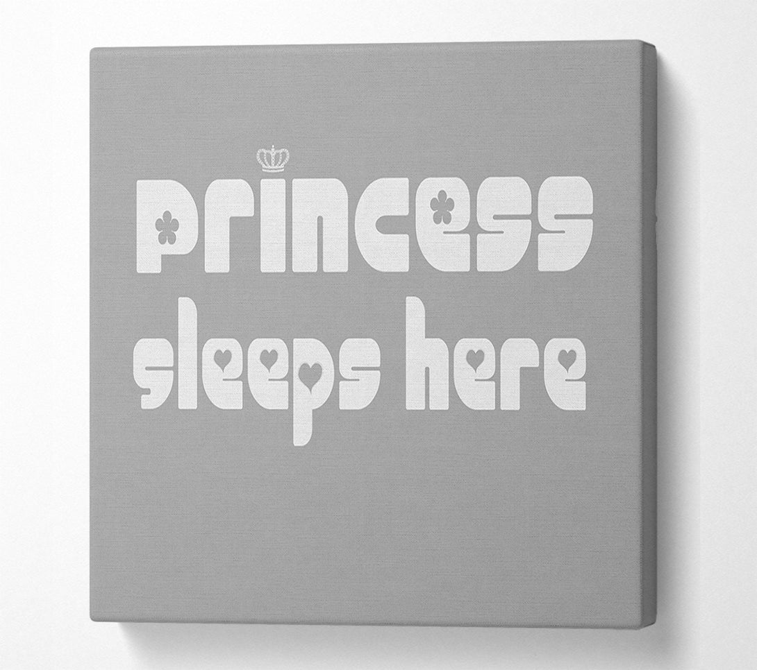  A Canvas Print of Princess sleeps 2 Grey White Canvas Wall Art