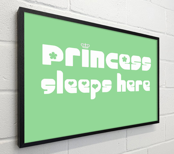 Nursery Quote Princess sleeps 2 Green
