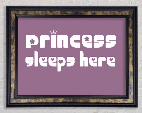 Princess sleeps 2 Dusty Pink Framed Print