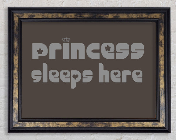 Princess sleeps 2 Chocolate Framed Print