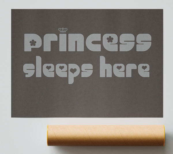 Princess Sleeps 2 Chocolate Poster