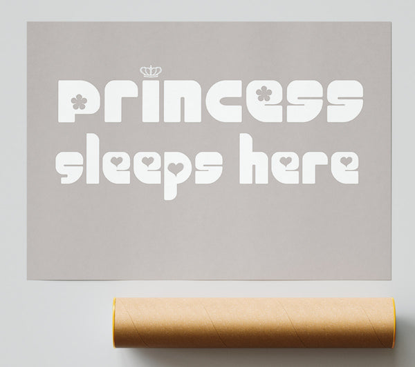 Princess Sleeps 2 Beige Print