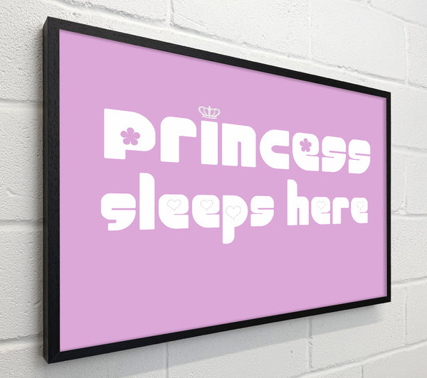 Princesss Sleeps Here 2 Pink