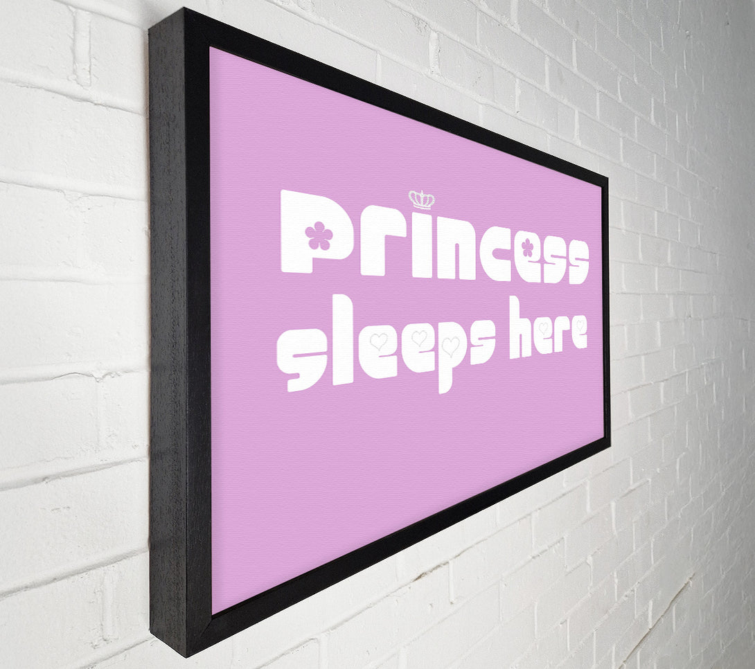  A Canvas Print of Princesss Sleeps Here 2 Pink Canvas Art