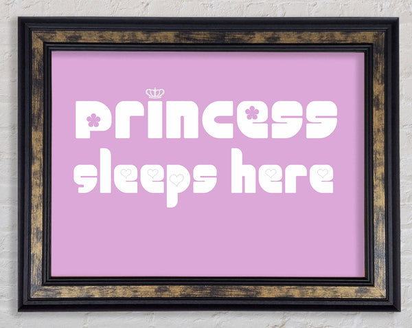 Princesss Sleeps Here 2 Pink Framed Print