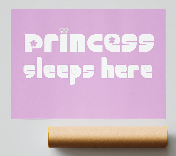 Princesss Sleeps Here 2 Pink Print