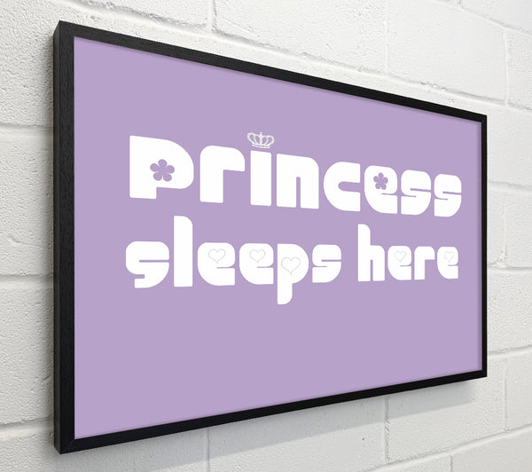 Princesss Sleeps Here 2 Lilac