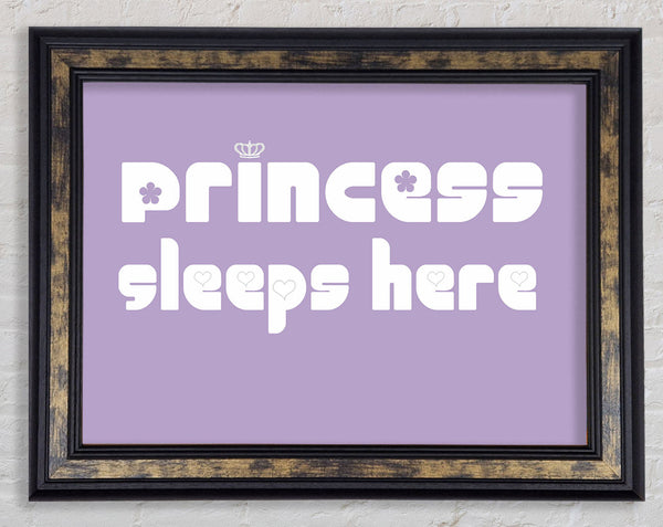 Princesss Sleeps Here 2 Lilac Framed Print