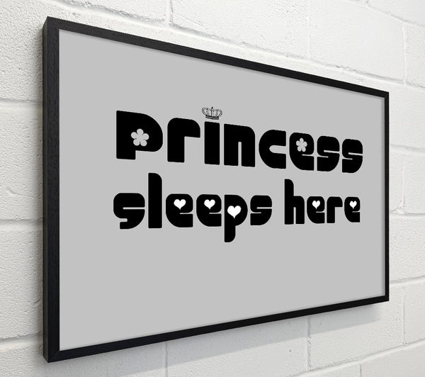 Princesss Sleeps Here 2 Grey