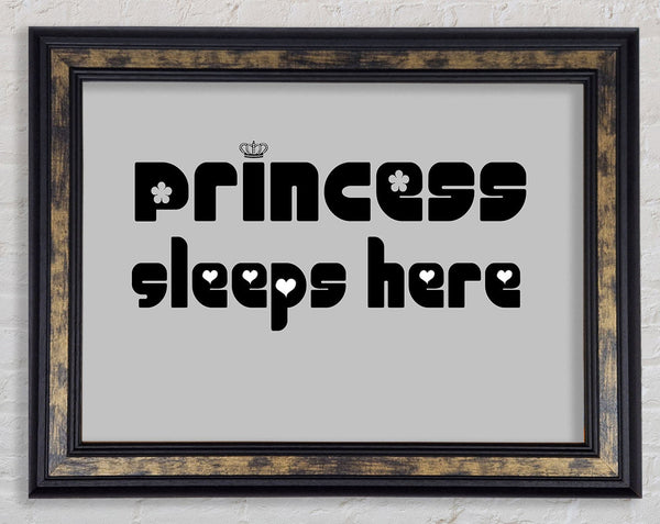 Princesss Sleeps Here 2 Grey Framed Print