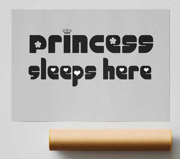 Princesss Sleeps Here 2 Grey Poster