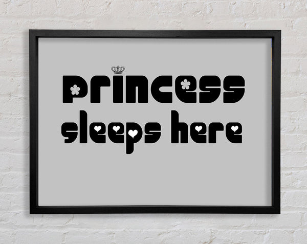Princesss Sleeps Here 2 Grey Framed Print
