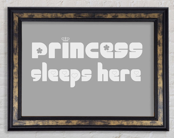 Princesss Sleeps Here 2 Grey White Framed Print
