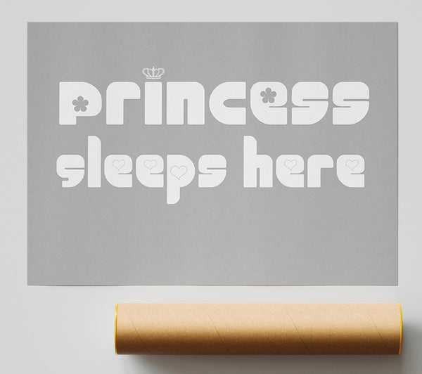 Princesss Sleeps Here 2 Grey White Giclee Print