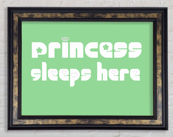 Princesss Sleeps Here 2 Green Framed Print
