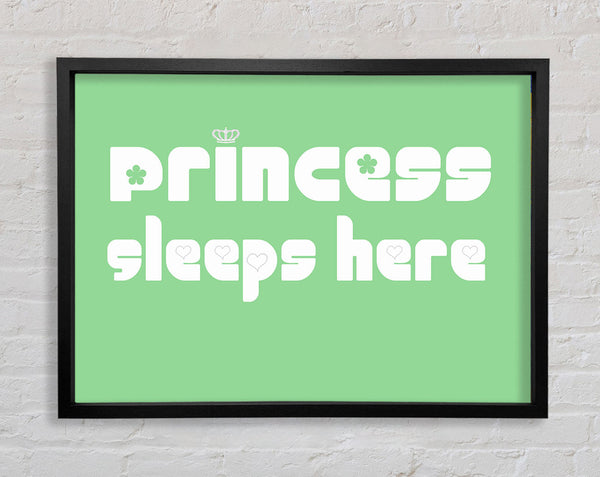 Princesss Sleeps Here 2 Green Framed Print