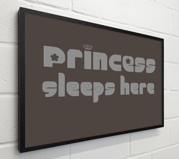 Princesss Sleeps Here 2 Chocolate