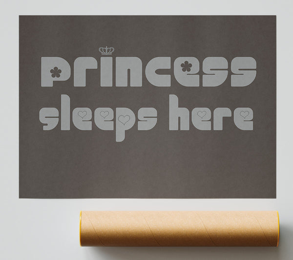 Princesss Sleeps Here 2 Chocolate Print