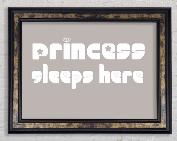 Princesss Sleeps Here 2 Beige Framed Print
