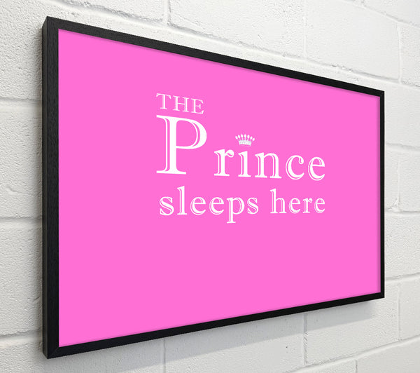 The Prince Sleeps Here Vivid Pink