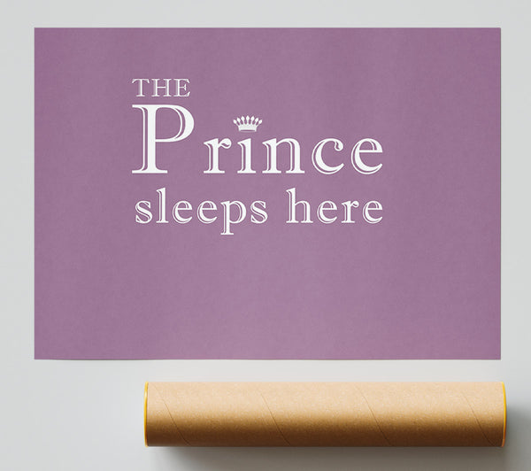 Boys Room Quote The Prince Sleeps Here Dusty Pink Poster