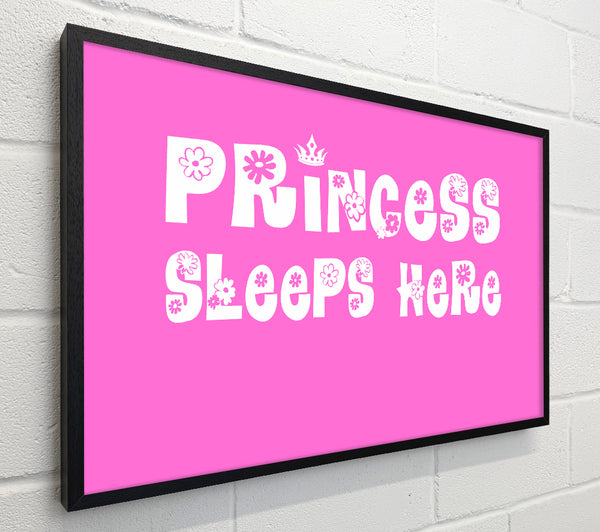 Nursery Quote Princesss Sleeps Here Vivid Pink