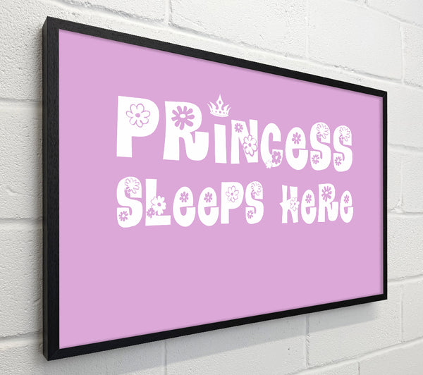 Princesss Sleeps Here Pink