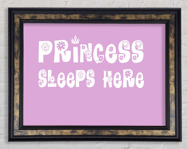 Princesss Sleeps Here Pink Framed Print