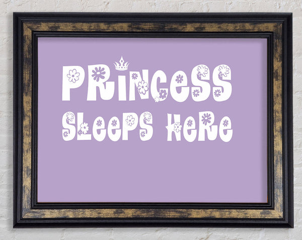 Nursery Quote Princesss Sleeps Here Lilac Framed Print