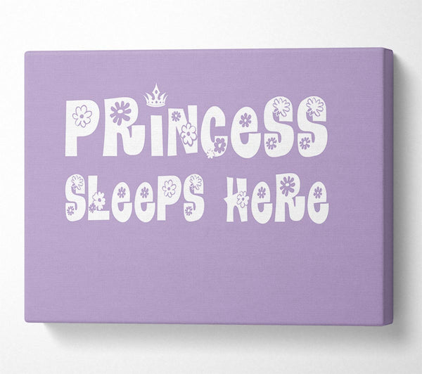 Nursery Quote Princesss Sleeps Here Lilac
