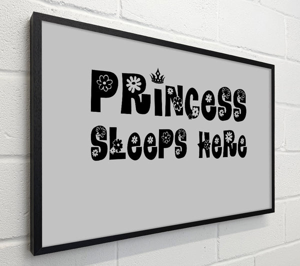 Princesss Sleeps Here Grey