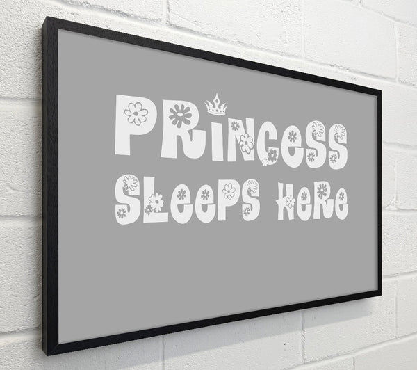 Princesss Sleeps Here Grey White