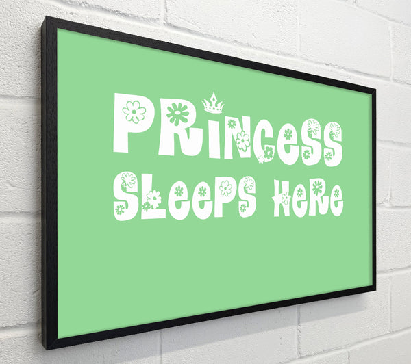 Princesss Sleeps Here Green
