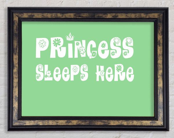 Princesss Sleeps Here Green Framed Print
