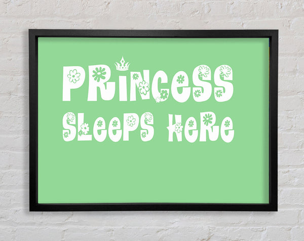 Princesss Sleeps Here Green Framed Print