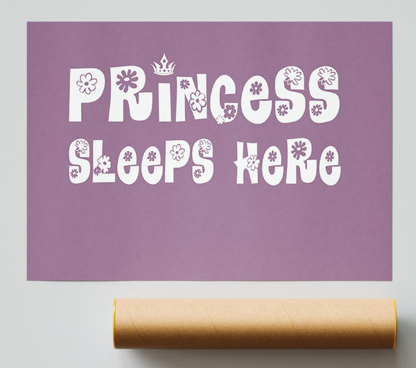 Girls Room Quote Princesss Sleeps Here Dusty Pink Poster