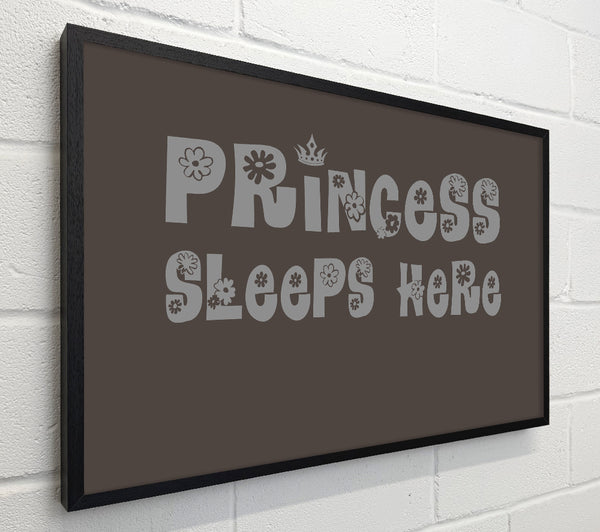 Princesss Sleeps Here Chocolate