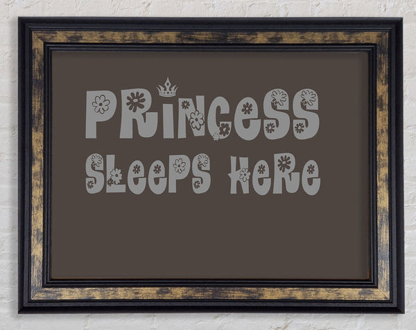 Princesss Sleeps Here Chocolate Framed Print