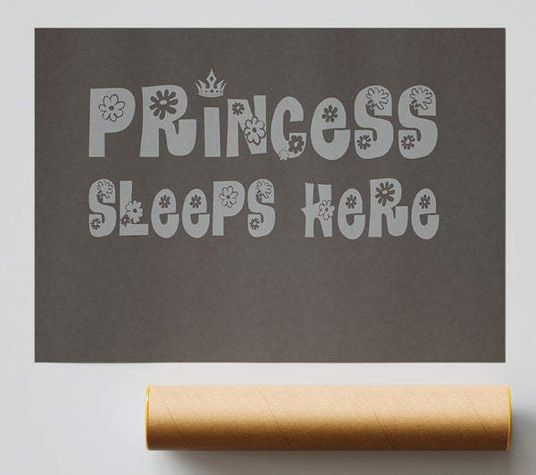 Princesss Sleeps Here Chocolate Giclee Print