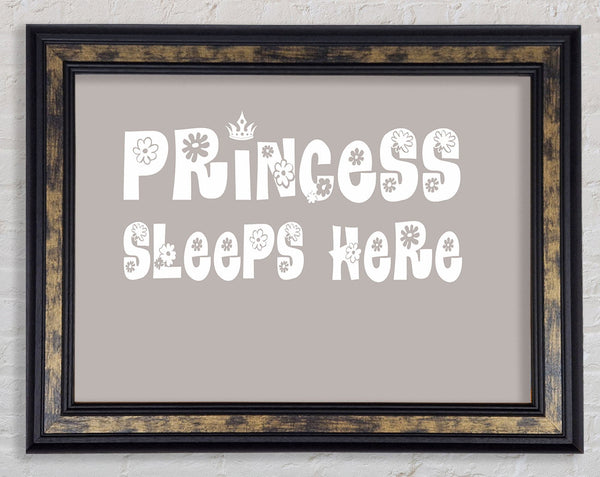 Princesss Sleeps Here Beige Framed Print
