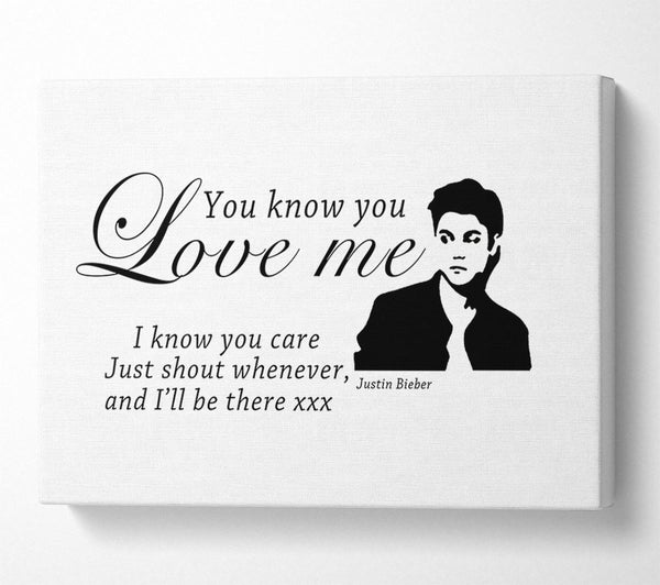  A Canvas Print of Music Quote You Know You Love Me Justin Bieber White Canvas Art