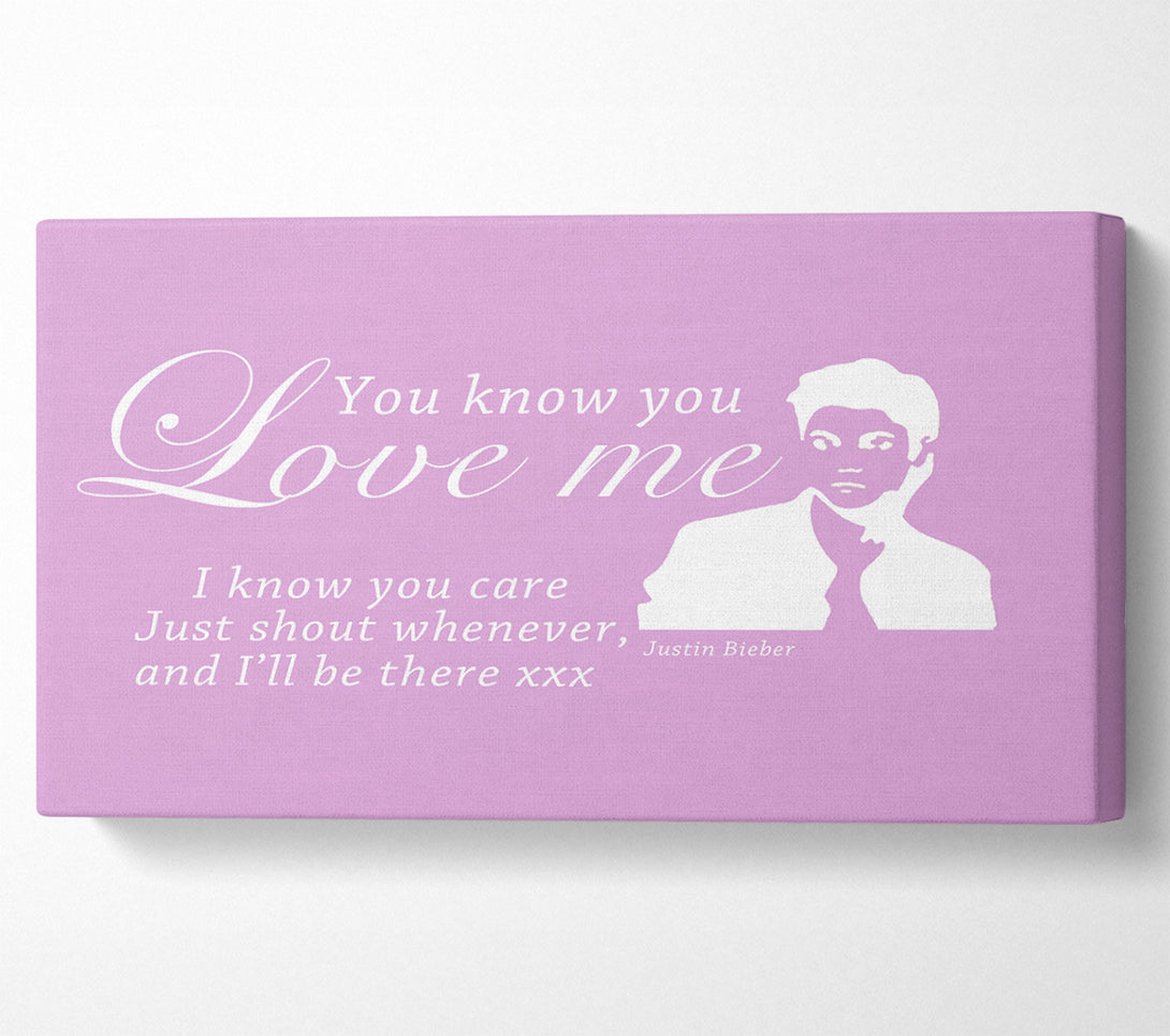  A Canvas Print of Music Quote You Know You Love Me Justin Bieber Pink Canvas Print