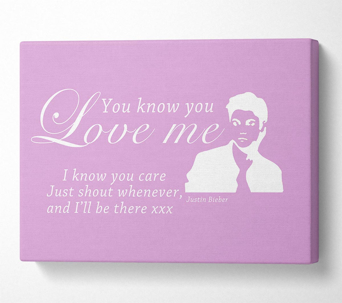  A Canvas Print of Music Quote You Know You Love Me Justin Bieber Pink Canvas Print