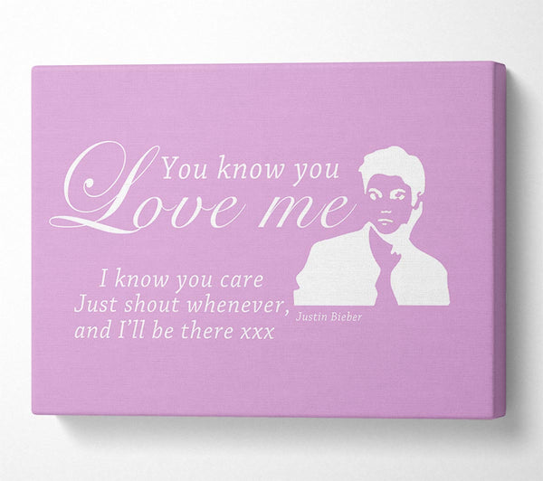  A Canvas Print of Music Quote You Know You Love Me Justin Bieber Pink Canvas Print